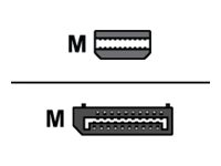 AMD - DisplayPort-adapter - Mini DisplayPort (hane) till DisplayPort (hane) 199-999365