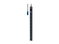 APC Easy Basic Rack PDU EPDU1116B - Kraftdistributionsenhet (kan monteras i rack) - AC 200/208/230 V - 3680 VA - ingång: IEC 60309 2P+E - utgångskontakter: 24 (20 x IEC 60320 C13, 4 x IEC 60320 C19) - 0U - 3 m sladd - svart - för P/N: SMX1500RM2UC, SMX1500RM2UCNC, SMX2KR2UX145, SMX3KR2UNCX145, SMX750CNC, SMX750CUS EPDU1116B