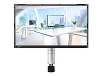 EIZO FlexScan FLT-BK - med arm - LED-skärm - Full HD (1080p) - 23.8" FLT-BK