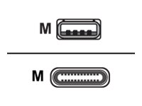 Cisco - USB-kabel - USB (hane) till 24 pin USB-C (hane) - 4 m - för Webex Room Kit Mini CAB-USBC-4M-GR=