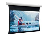 Da-Lite Tensioned Elpro Concept - Projektorduk - takmontering, väggmontering - motoriserad - 230 V - 85.83" (218 cm) - 16:9 - HD Progressive 1.1 Contrast - RAL 9016 10101043