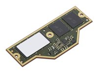 Lenovo - LPDDR5X - modul - 32 GB - CAMM - 7500 MHz - grön - för ThinkPad P1 Gen 7 21KV, 21KW 4X71Q25456