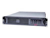 APC Smart-UPS - UPS (kan monteras i rack) - AC 230 V - 2.7 kW - 3000 VA - RS-232, USB - 2U - svart - för P/N: AR2487G, AR3103SP, AR3106SP, NBWL0356A, SMX2000LVUS, SRT1000RMXLA, SRT1500RMXLA-NC SUA3000R2IX38