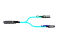 NVIDIA - 200GBase till 2x 100GBase direktansluten splitterkabel - OSFP finned till QSFP56 platt - 5 m - fiberoptisk - Active Optical Cable (AOC) 980-9I111-00H005