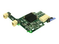 Emulex 10 GbE Virtual Fabric Adapter II for Lenovo BladeCenter - Nätverksadapter - PCIe 2.0 x8 låg profil - 10GbE - 2 portar - för BladeCenter H 8852, HT 8740, HT 8750; BladeCenter HS22 7870; HS22V 7871; HX5 7873 90Y3550