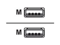 Lenovo - USB-kabel - USB (hane) till USB (hane) - USB 2.0 - 15 m - svart - för ThinkCentre M75t Gen 2 11W5 40CLCBCTRL
