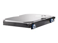 HP - Hårddisk - 3 TB - inbyggd - 3.5" - SATA 6Gb/s - 7200 rpm - buffert: 64 MB - för Workstation Z1, Z230, Z420, Z620, Z640 (3.5"), z800, Z820 QF298AA