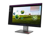Lenovo ThinkVision P27Q-40 - LED-skärm - QHD - 27" 64A7GAT6EU